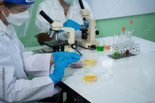 laboratory experiments separating tissue from chicken eggs.