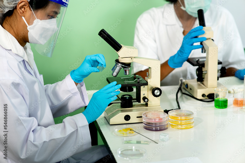 team of scientists is preparing to isolate tissue for research in laboratory team of scientists is preparing to isolate tissue for research in laboratory