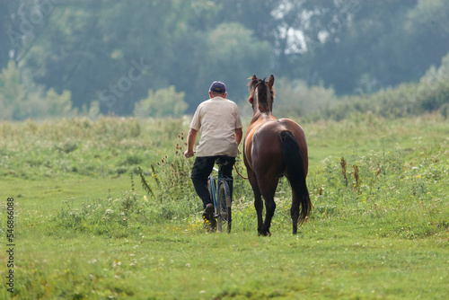a man rides a bicycle and walks nearby a horse from the pasture. © Tsyb Oleh