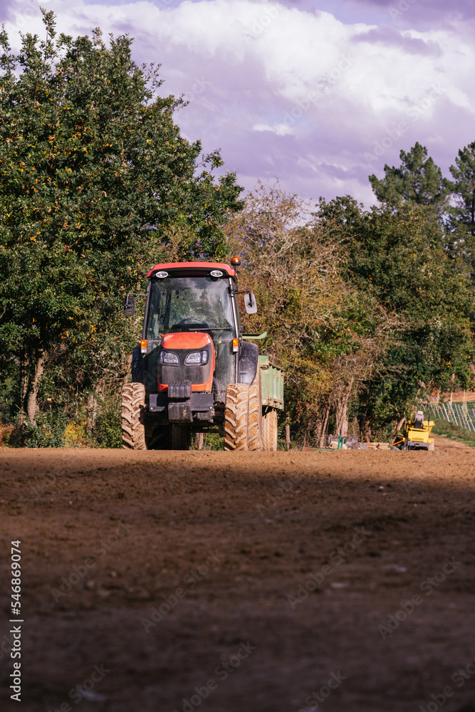 Fototapeta premium silage with a large tractor
