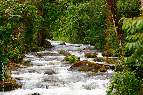 Savegre River, Costa Rica photo