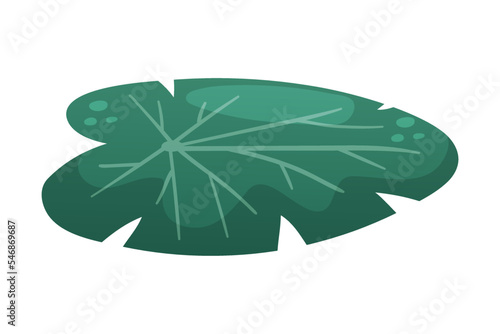 Green Water Lily Pad and Lotus Leaf Vector Illustration