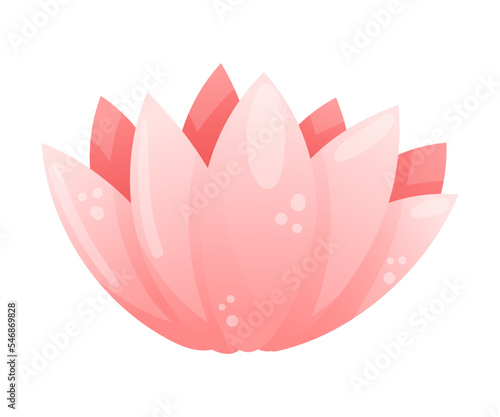 Pink Water Lily Flower with Lush Petals Vector Illustration