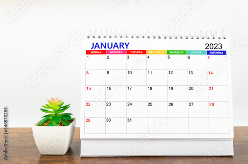 The January 2023 Monthly desk calendar for 2023 year with small plant on wooden table.