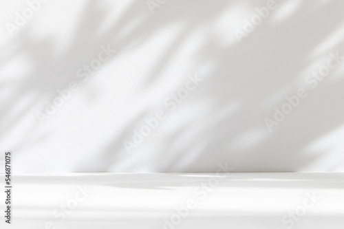 Abstract white studio background for product presentation. Empty room with shadows of window and flowers and palm leaves . 3d room with copy space. Summer concert. Blurred backdrop. photo