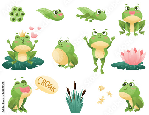 Cute Green Leaping Frog Character with Water Lily and Reed Vector Set
