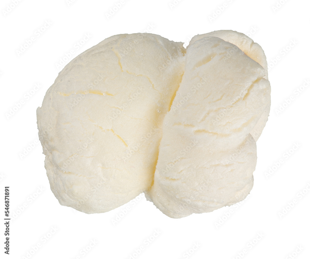 Single popcorn seed, macro shot isolated on transparent background as png clipart Single popcorn seed, macro shot isolated on transparent background as png clipart
