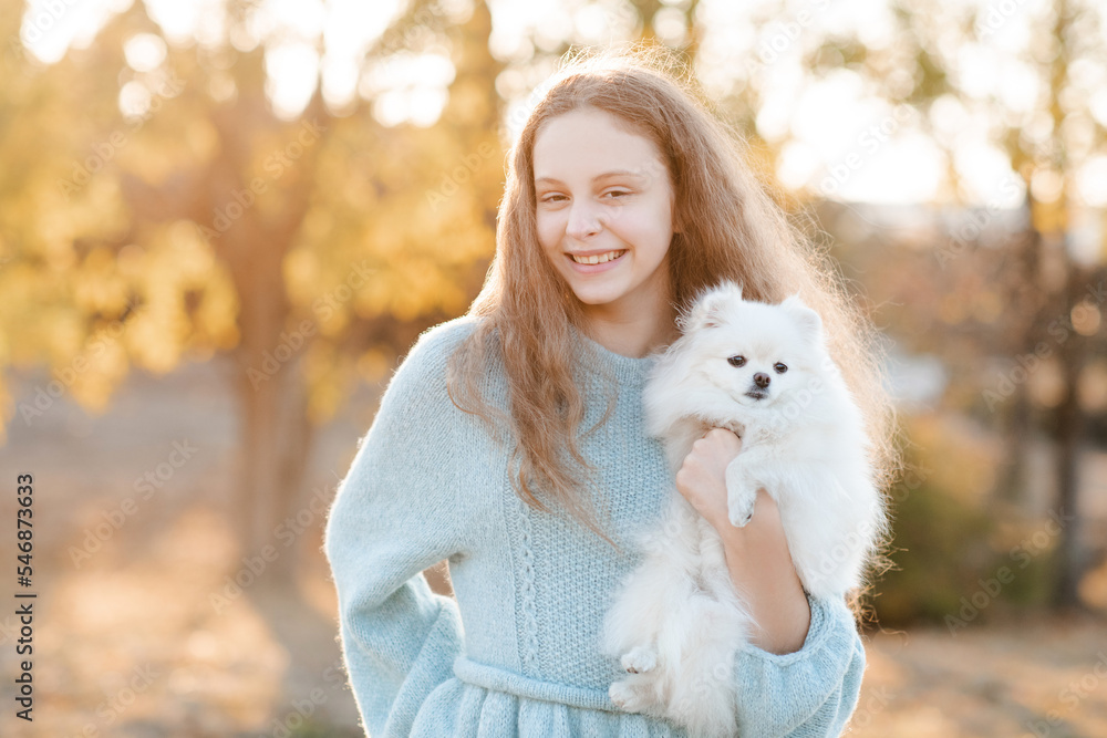 Cute smiling teenage girl 15-16 year old holding white fluffy spitz puppy dog together over autumn yellow nature background in park. Friendship. Cute smiling teenage girl 15-16 year old holding white fluffy spitz puppy dog together over autumn yellow nature background in park. Friendship.