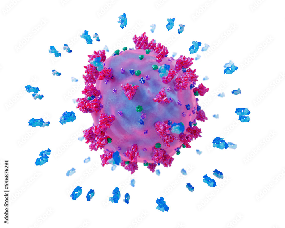 Antibodies around a covid 19 virus, immune system reacting to the corona virus. Conceptual 3d illustration on white background.