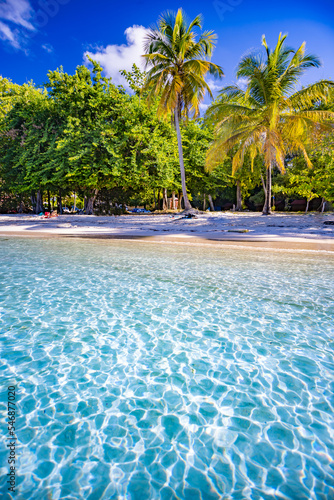 Une plage paradisiaque de Guadeloupe aux Antilles Françaises 