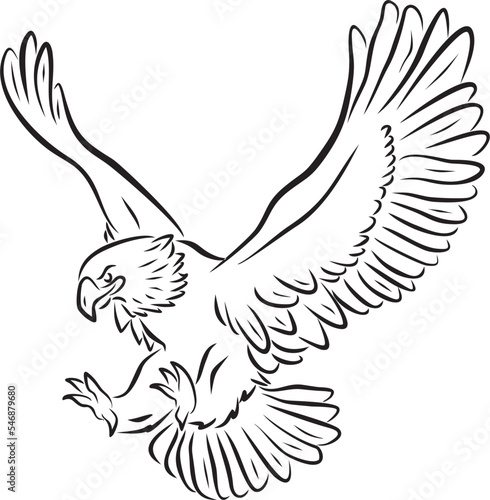 Vector black outline of an attacking eagle. Predatory big bird hunts prey..