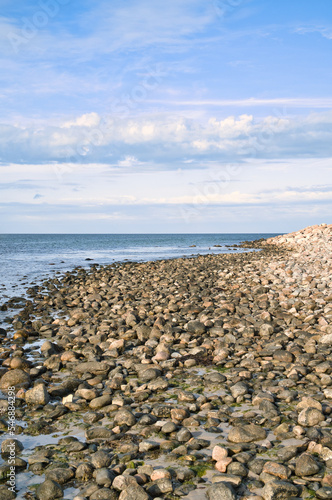 Stone beach by the sea. Danish coast on a sunny day with clouds in the sky. Landscape
