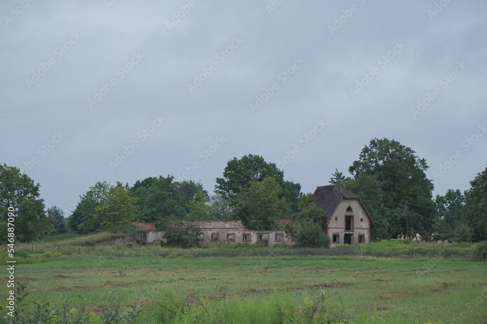 Obraz premium edge of village Zālīte in Zemgale, Latvia. Old abandoned ruins overgrown with trees and grass