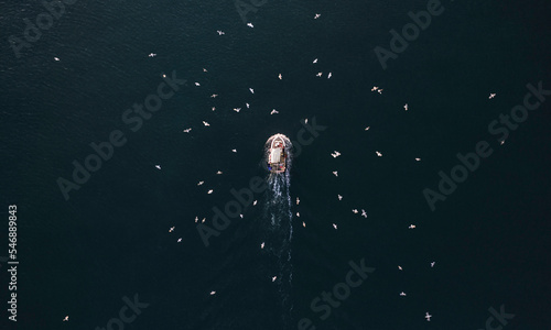 A Fishing Boat at Sea Swarmed By Seagulls Aerial View photo