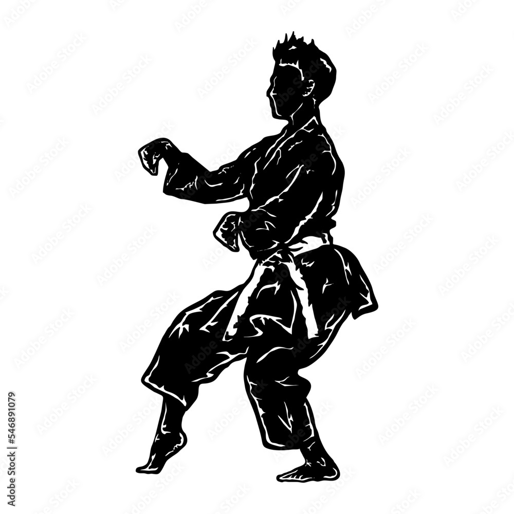 Obraz premium karate icon vector logo solhouette