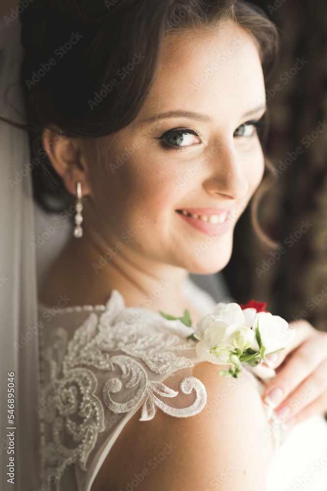 Luxury bride in white dress posing while preparing for the wedding ceremony Luxury bride in white dress posing while preparing for the wedding ceremony