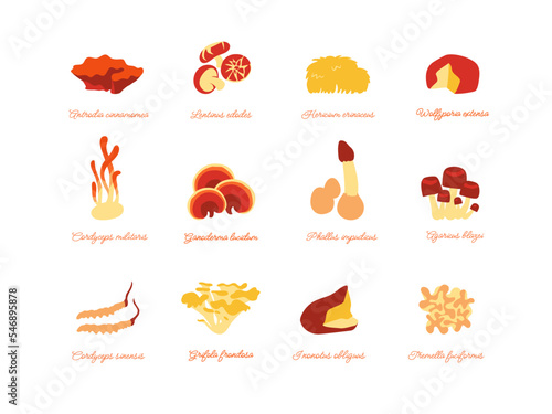 Collection of medicinal mushrooms. Vector icons set