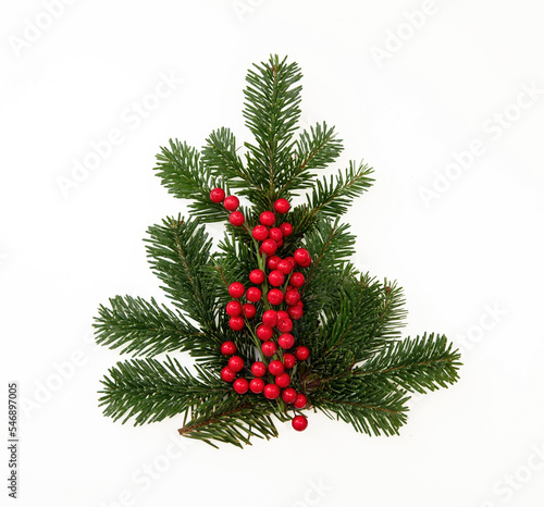 Christmas tree isolated on white. Fir twig and red winter berries decoration.