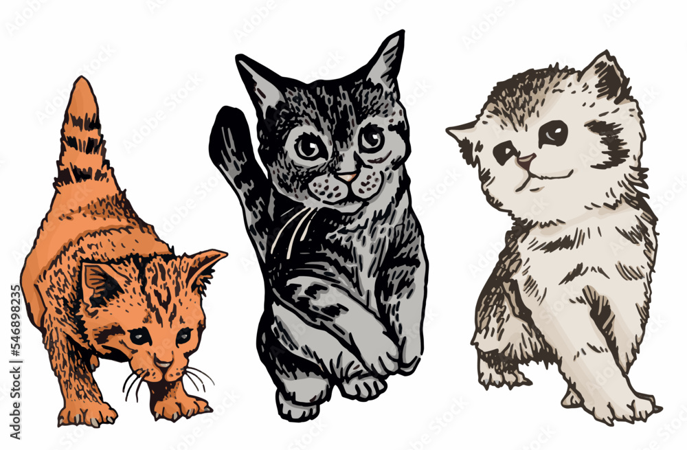 Vector color set of  cats,graphical drawing of domestic pets,illustration for design and books