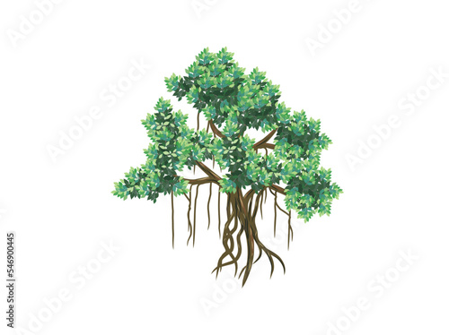 banyan tree with roots