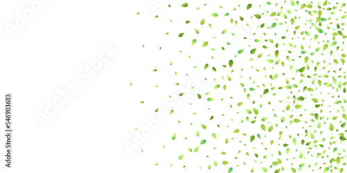 Leaves Green Falling Flying Foliage Leaf Tea Mint