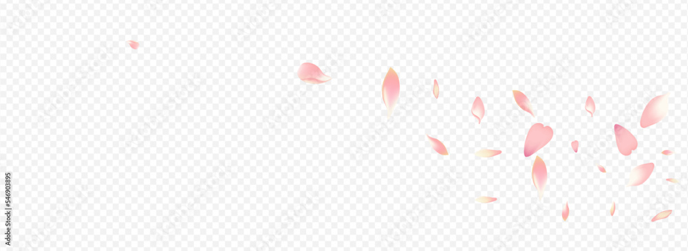 White Peach Vector Panoramic Transparent