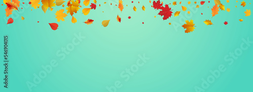Colorful Plant Vector Blue Panoramic Background.