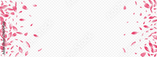 Color Rosa Vector Panoramic Transparent