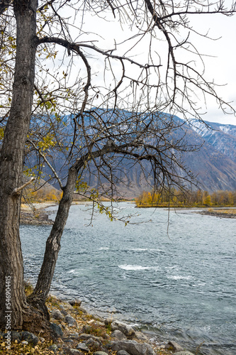 View of river Chulyshman and Altay mountains