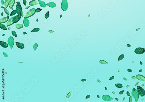 Olive Greens Swirl Vector Blue Background Branch.