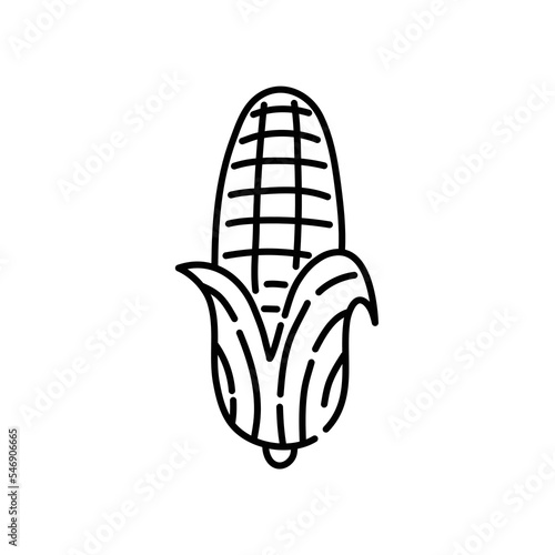 Corn doodle icon. Hand drawn black sketch. Vector Illustration.