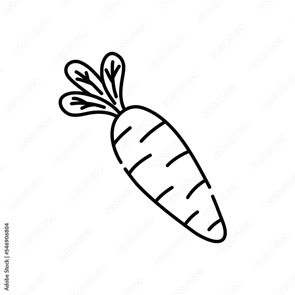 Carrot doodle icon. Hand drawn black sketch. Vector Illustration. Carrot doodle icon. Hand drawn black sketch. Vector Illustration.