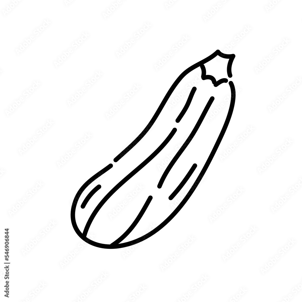 Zucchini doodle icon. Hand drawn black sketch. Vector Illustration. Zucchini doodle icon. Hand drawn black sketch. Vector Illustration.