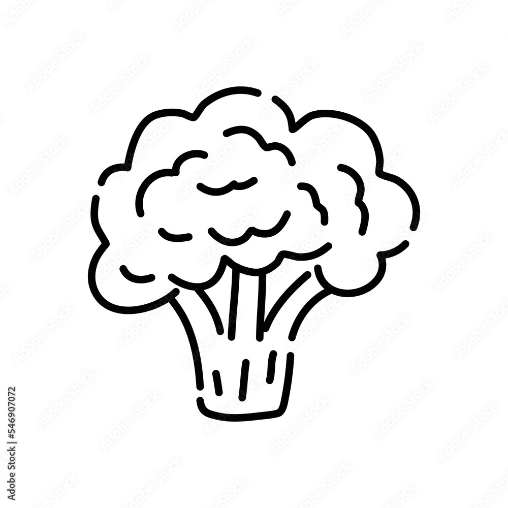 Broccoli doodle icon. Hand drawn black sketch. Vector Illustration. Broccoli doodle icon. Hand drawn black sketch. Vector Illustration.