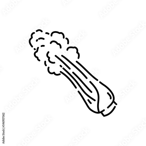 Celery doodle icon. Hand drawn black sketch. Vector Illustration.