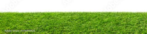 green grass field isolated, png