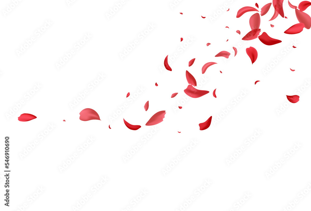 Red Flower Japanese Vector White Background. Fly