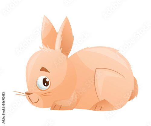 Bunny or Hare with Cute Snout and Long Ears as Home Pet Animal Vector Illustration