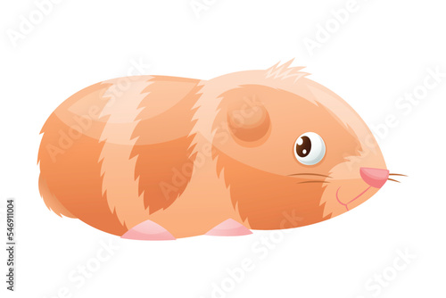Brown Furry Guinea Pig with Cute Snout as Home Pet Animal Vector Illustration