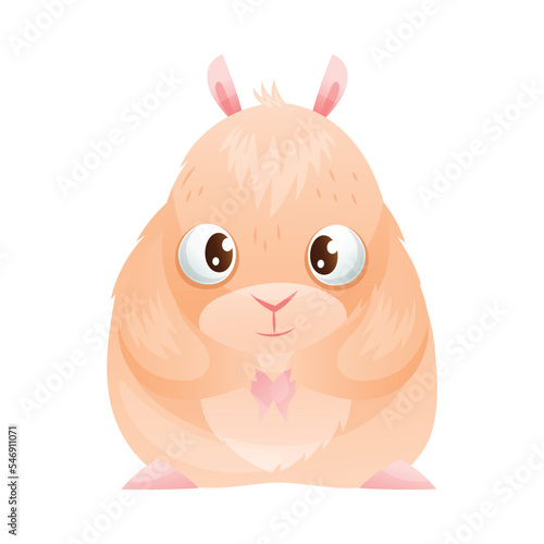 Fluffy Hamster with Cute Snout as Home Pet Animal Vector Illustration