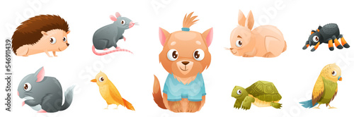 Cute Home Pet Animal with Rat, Hedgehog, Hare and Puppy Vector Set