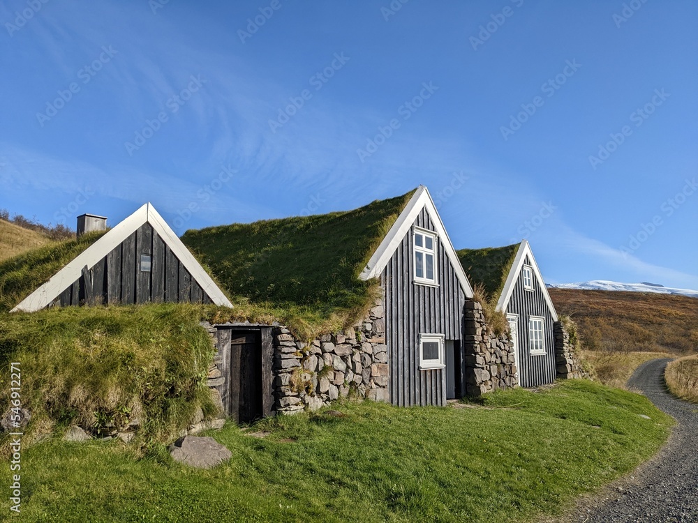 Wooden rural house with green roof