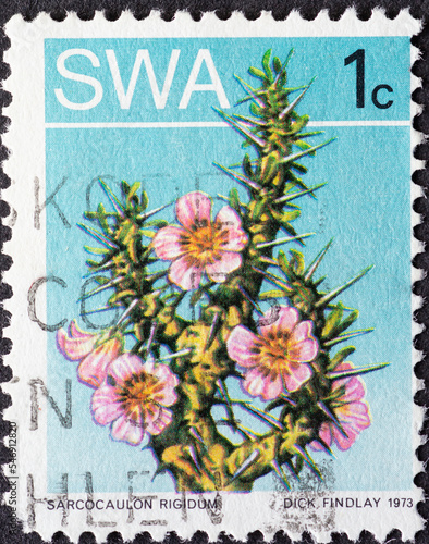 South-West Africa - CIRCA 1973: a postage stamp from South-West Africa , showing a Sarcocaulon rigidum plant. Circa 1973