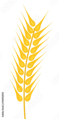 spiga dorata di grano su sfondo trasparente photo