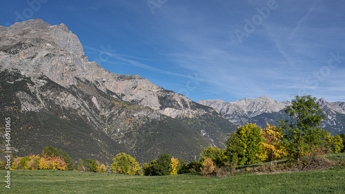 Trees in autumn fall season as seen in the mountains near Briancon in the Provence-Alpes-C  te d Azur region in Southeastern France  France