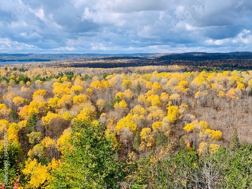 crisp autumn