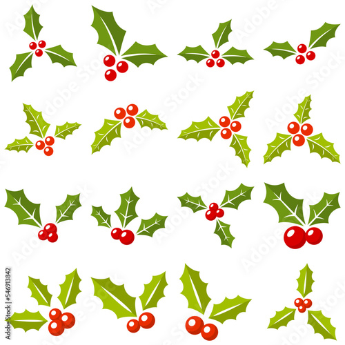 Set of holly berries in flat style isolated