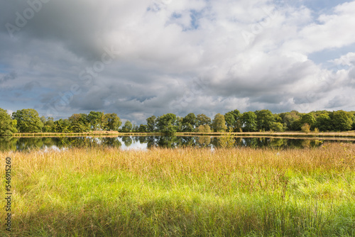 Landscape with a fen and reflection of trees and shore plants in the water on the Kampsheide between Assen and Balloo in the Dutch province of Drenthe photo