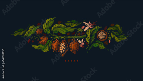 Cocoa pattern. Vector illustration. Dark chocolate