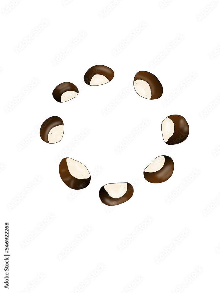 Obraz premium chestnut 